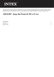 Intex
