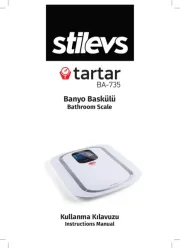 Stilevs