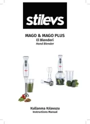 Stilevs