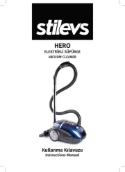 Stilevs