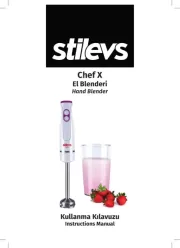 Stilevs