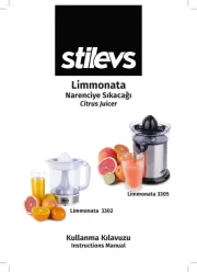 Stilevs