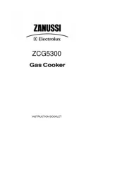 Zanussi-Electrolux