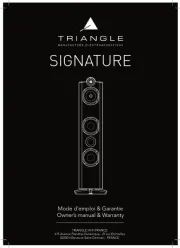 Triangle