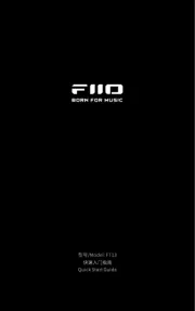 FiiO