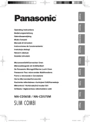 Panasonic