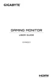 Gigabyte