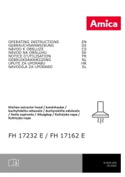 Amica