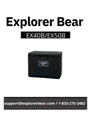 Explorer Bear