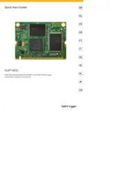 Behringer