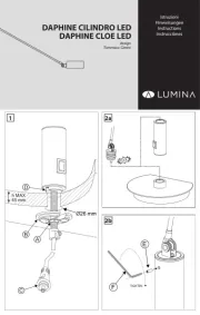 Lumina