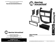American International