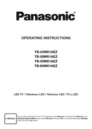 Panasonic