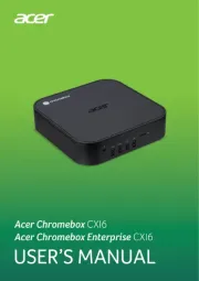 Acer
