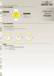 Invicta