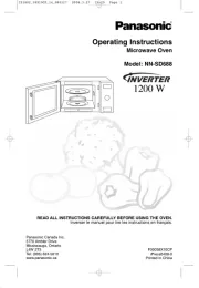 Panasonic
