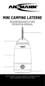 Ansmann