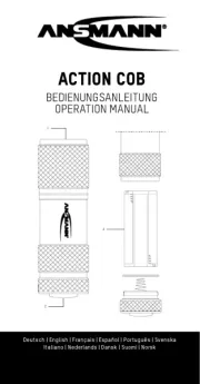 Ansmann