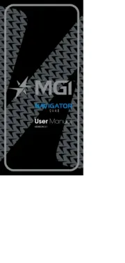MGI
