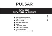 Pulsar