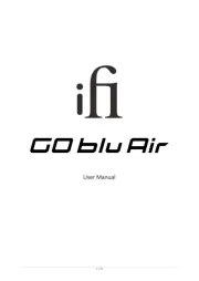 IFi Audio