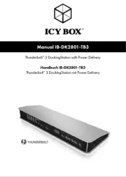 Icy Box