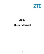 ZTE