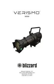 Blizzard