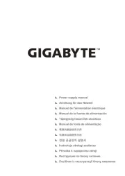 Gigabyte