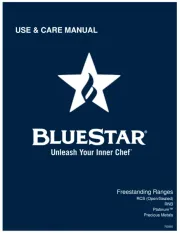 BlueStar