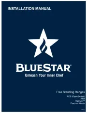 BlueStar