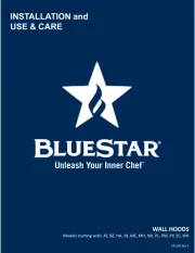 BlueStar