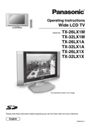 Panasonic