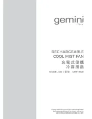 Gemini