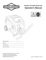 Briggs & Stratton