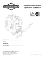 Briggs & Stratton