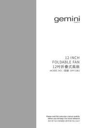 Gemini