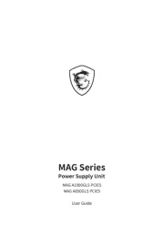MSI