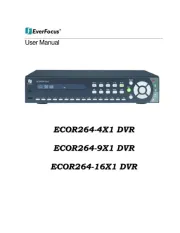 EverFocus