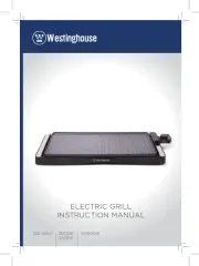 Westinghouse