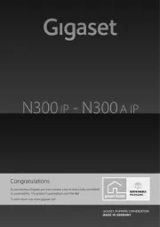 Gigaset Pro