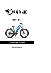Magnum