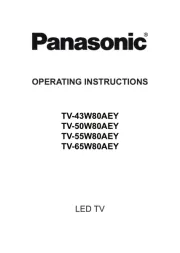 Panasonic