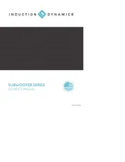 Induction Dynamics