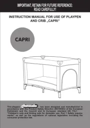 Chipolino