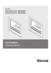 Rinnai