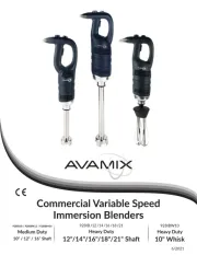 AvaMix