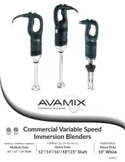 AvaMix