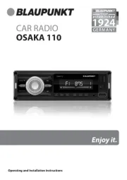 Blaupunkt
