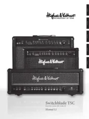 Hughes & Kettner